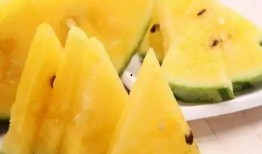 带你吃瓜之缅甸,带你吃瓜之旅