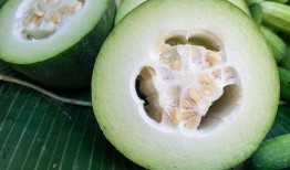 烂瓜吃瓜,揭秘娱乐圈背后的真相与笑料