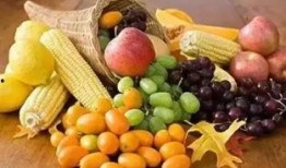 echo早起吃瓜,探索“echo早起吃瓜”的独特魅力