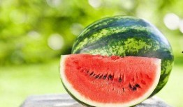 夏天来了怎么吃瓜