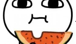 吃瓜的看法,吃瓜群众视角下的娱乐圈风云录