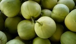 蒂瓜怎么吃,探索美味新境界