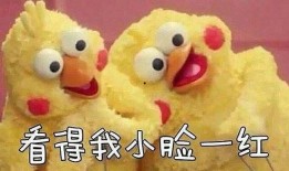 吃瓜小熊高铁,趣味横生的铁路探险记
