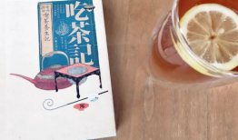 本吃瓜书,本吃瓜书带你领略明星幕后故事