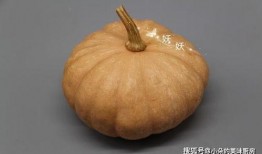不与吃瓜争长短,且看非争长短的精彩人生