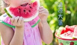 非你莫属吃瓜