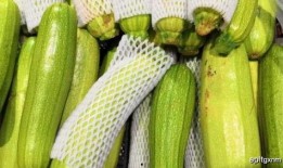 痛风吃小瓜,小瓜助力健康生活