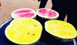 丁哥爆料吃瓜,娱乐圈吃瓜大揭秘！