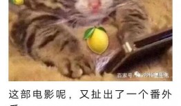 圈内吃瓜搬运工,娱乐圈幕后那些事儿