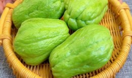 过年吃佛手瓜,新春佳节瓜香满溢