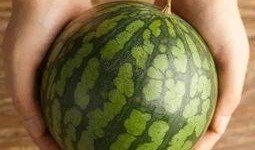 吃瓜风,吃瓜群众眼中的明星幕后故事