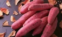 瓜哥带你吃地瓜