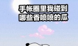 手帐吃瓜,记录生活点滴，品味人间烟火