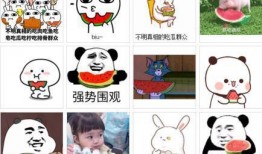 吃瓜问钱,揭秘娱乐圈背后的财富秘密