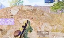 沙漠和平精英吃瓜,平精英玩家揭秘吃瓜背后的故事