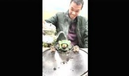 小说吃瓜群众联盟,揭秘网络舆论场的狂欢与真相