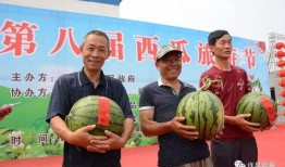 许昌最新吃瓜消息,揭秘本地热门事件背后的真相与幕后故事