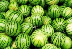 吃瓜拍照文方案,解锁夏日吃瓜拍照新风尚