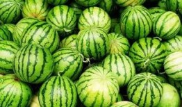 吃瓜拍照文方案,解锁夏日吃瓜拍照新风尚