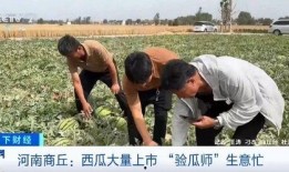 二师吃瓜,揭秘校园热点事件背后的真相