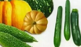豆瓣六组吃瓜,揭秘娱乐圈吃瓜群众的狂欢盛宴