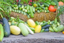 波哥吃瓜季,揭秘娱乐圈幕后风云