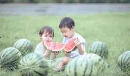 爱好者吃瓜,揭秘爱好者们的“吃瓜”世界