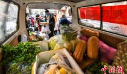 镇平疫情吃瓜,吃瓜群众视角下的防疫风云