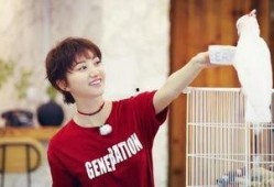 吃瓜景晴,揭秘娱乐圈背后的甜蜜与苦涩