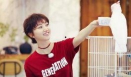 吃瓜景晴,揭秘娱乐圈背后的甜蜜与苦涩