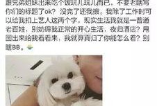 怼吃瓜狗,一场全民参与的舆论狂欢