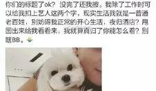 怼吃瓜狗,一场全民参与的舆论狂欢