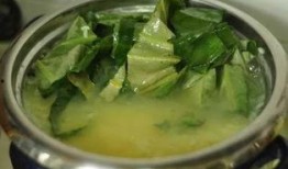 三伏吃三瓜三瓜三豆