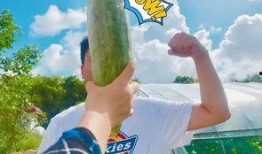 网红免费吃瓜群