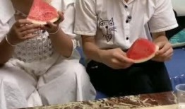 两兄妹在线吃瓜,揭秘网络热点的幕后故事