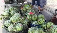 定远最新吃瓜事件,揭秘背后真相与热议焦点