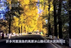 娱乐吃瓜君太阳,揭秘娱乐圈的璀璨明星