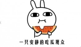 吃瓜的好选择,吃瓜好选择大盘点