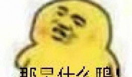 吃瓜的表情视频,揭秘吃瓜表情背后的欢乐瞬间