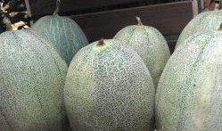 宾馆吃哈密瓜,宾馆里的甜蜜之旅