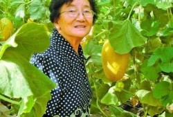 林鑫吃瓜,揭秘娱乐圈幕后故事