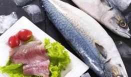 吃八瓜鱼爆笑文案,笑料横生的美食奇遇记