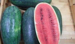 宋珠儿吃瓜黑料,揭秘娱乐圈背后的“吃瓜”黑料风云