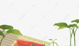 夏日吃瓜背景图,瓜果飘香——探寻夏日吃瓜的清凉时光