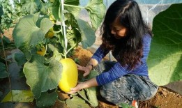 瓜叔带你吃瓜,一网打尽吃瓜盛宴