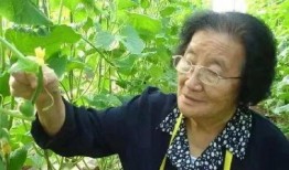 吃瓜博主吃瓜盟主是谁,吃瓜博主“吃瓜盟主”背后的神秘面纱