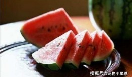 路过吃瓜视频,路过吃瓜视频，揭秘生活百态