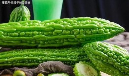 吃瓜为什么利尿