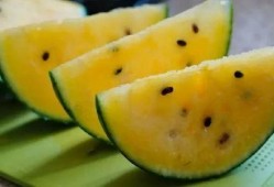 甘肃农民吃瓜,丰收喜悦映衬美好生活