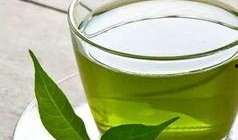 绿茶成精吃瓜,一场奇幻的跨界之旅